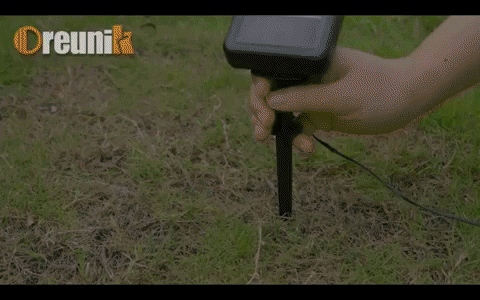 margotalva giphyupload GIF