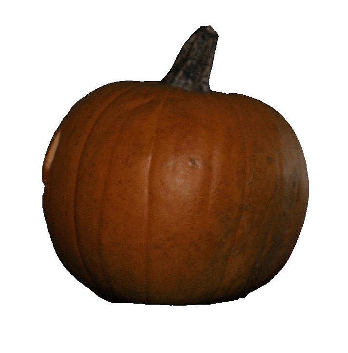 Harry Potter Halloween Sticker