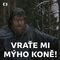 Ceska Televize GIF