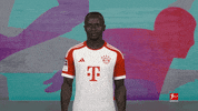 No Way Football GIF by Bundesliga