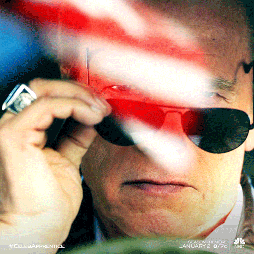 arnold schwarzenegger win GIF by The New Celebrity Apprentice