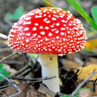 uaneversmile giphygifmaker giphyattribution GIF
