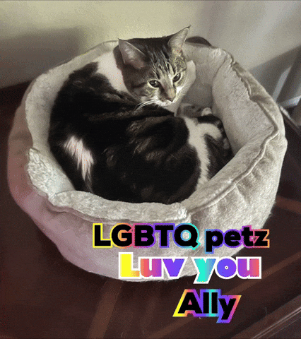 jeremyhyde627ac136f06448b08fd84066bbcb6435 giphyattribution ally luv you lgbtq petz GIF