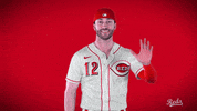 Tyler Naquin GIF by Cincinnati Reds