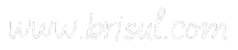 Sticker by Bri Sul