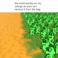 Food Poisoning Orange GIF by The Gregory Brothers