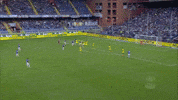 soccer torreira GIF by nss sports