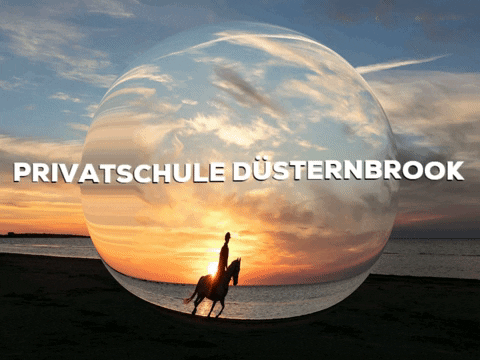School Sun GIF by PrivatschulenPORTAL.de
