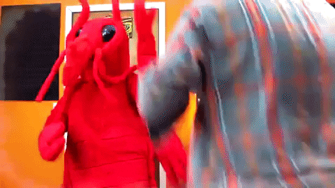 ccateni28 giphygifmaker chadtronic GIF