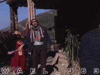 Wael GIF