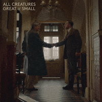 allcreaturestv animals handshake rivals yorkshire GIF