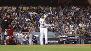 Home Run Baseball GIF by MLB