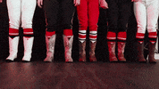 Letsgopeay GIF by Austin Peay Athletics