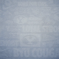 Brigham Young Byu Baseball GIF by BYU Cougars