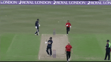 leicestershire county cricket club GIF