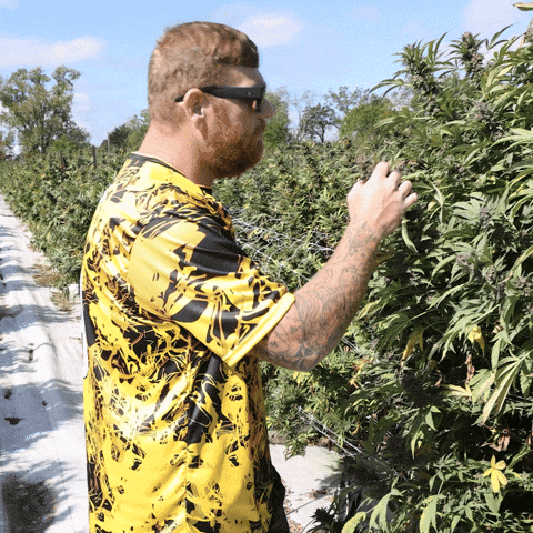 Plant Grow GIF by Exclusive Brands