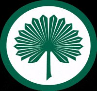 Palmbeachslsc GIF by Parampara