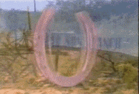 hey dude 90s GIF