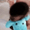 monkey GIF