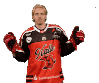 Sport Ice Sticker by Saale Bulls