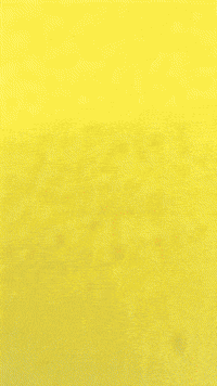 Bigchungus GIF by Youtooz