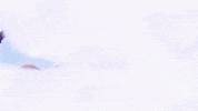 SquadBusters fight snow chicken ice GIF