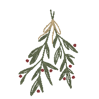 meliz_design christmas winter mistelzweig misteltoe Sticker
