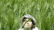 Sub Pop Sun GIF by Sub Pop Records