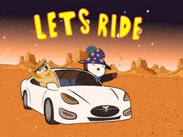 Elon Musk Dog GIF by Pudgy Penguins