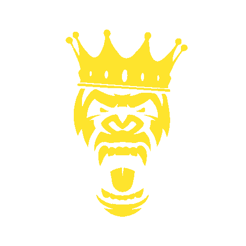 gymonezurich giphyupload gymone Sticker
