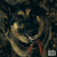 Barking Paramount Pictures GIF by Heart of the Beast