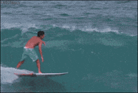 like a boss surfing GIF