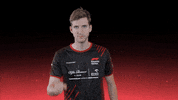 sauberesports no sauber f1esports sauber esports GIF