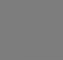 chippythedog love i love you chippythedog حب GIF