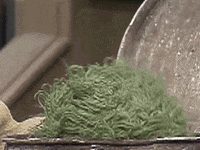 muppetwiki oscar head bang oscar the grouch GIF