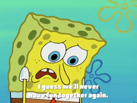 season 4 GIF by SpongeBob SquarePants
