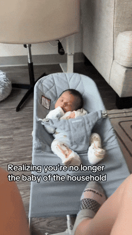 cuteanimalland giphyupload GIF