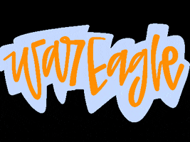 mollycottingham football auburn wareagle mollycottingham GIF