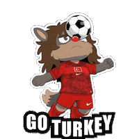 World Cup Football Sticker