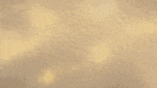 Dance Eye GIF by ayshabilgrami
