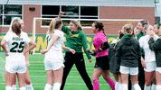 Dance Wilkinson GIF by NDSU Athletics