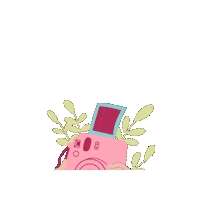 Wedding Photography Sticker by Baires Photobooth