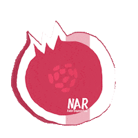 BirGunKadin nar narkadin narkadindayanismasi Sticker