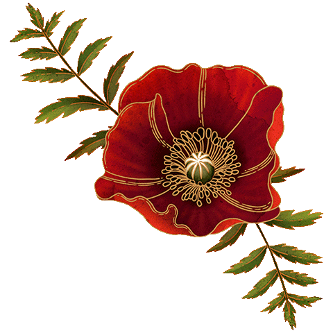 Amapola Datura Sticker