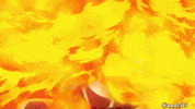 One Piece Ace GIF