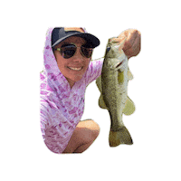Bass Bassfishing Sticker by WindriderGear