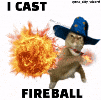 Kitty Wizard GIF