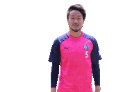 Cerezo Sticker by セレッソ大阪