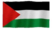 Flag Palestine GIF by Guy with Red Beard