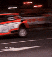 Motorsport Sparkling GIF by FIA European Rally Championship